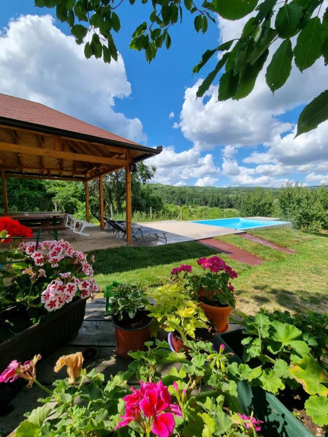 Hoopovo House Fruska Gora Vila Irig Exterior foto